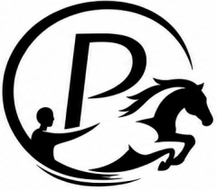 P.Motion
